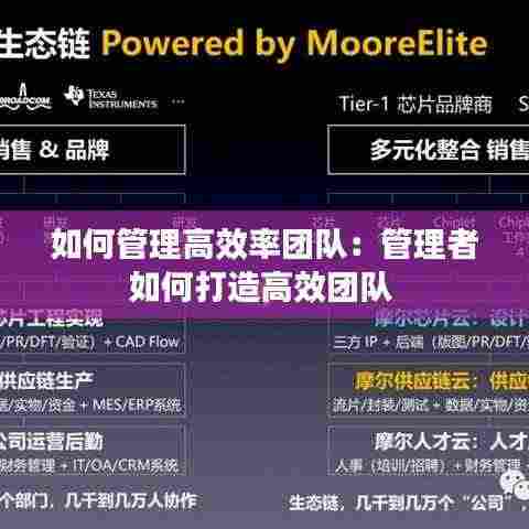 如何管理高效率团队:管理者如何打造高效团队