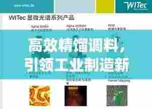 高效精馏调料，引领工业制造新时代的革新先锋