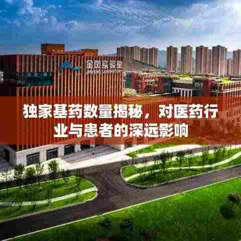 独家基药数量揭秘，对医药行业与患者的深远影响