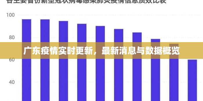 广东疫情实时更新,最新消息与数据概览
