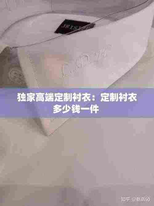 独家高端定制衬衣:定制衬衣多少钱一件