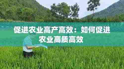 促进农业高产高效:如何促进农业高质高效