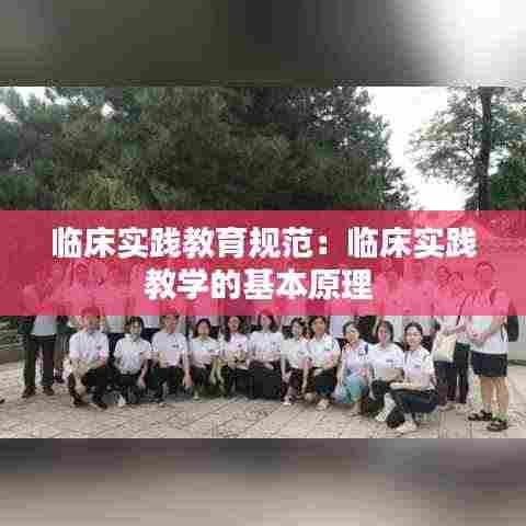 临床实践教育规范:临床实践教学的基本原理