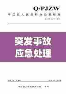 突发事故应急处理救援：突发事故应急处理预案 