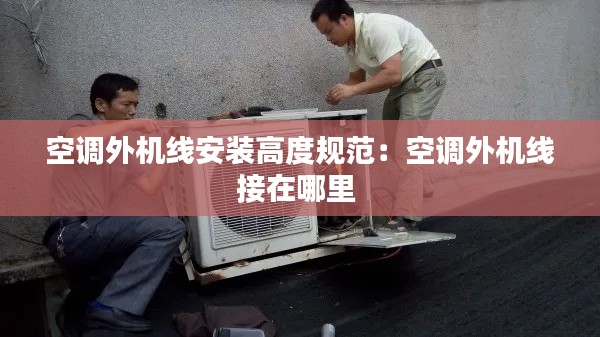 飞墙走壁 第4页