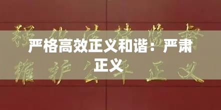 严格高效正义和谐:严肃正义