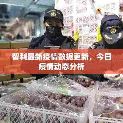 智利最新疫情数据更新，今日疫情动态分析