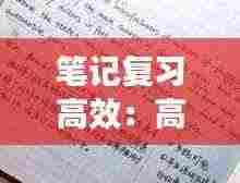 笔记复习高效：高效记笔记法 