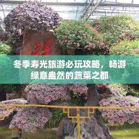 冬季寿光旅游必玩攻略，畅游绿意盎然的蔬菜之都