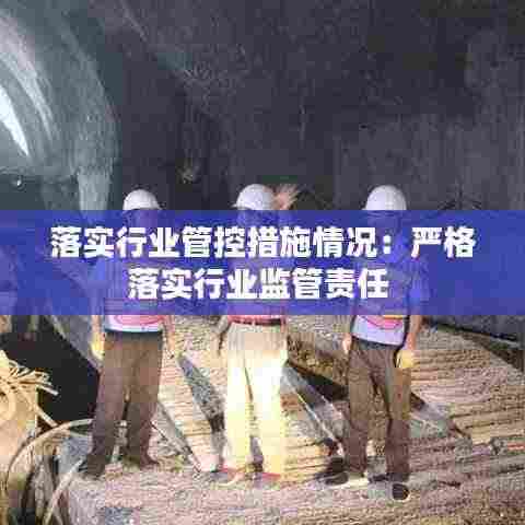 落实行业管控措施情况:严格落实行业监管责任