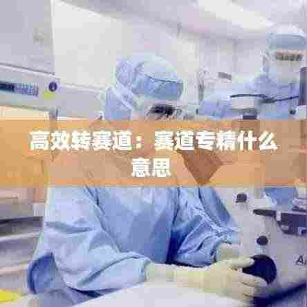 高效转赛道:赛道专精什么意思