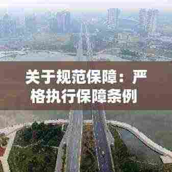 关于规范保障:严格执行保障条例