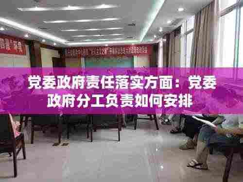 党委政府责任落实方面:党委政府分工负责如何安排