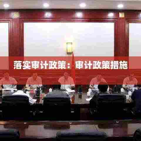 落实审计政策：审计政策措施 