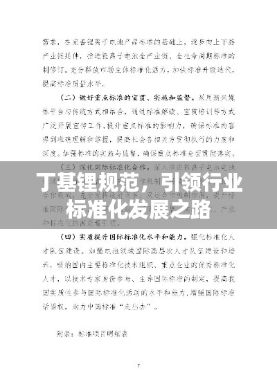 丁基锂规范,引领行业标准化发展之路