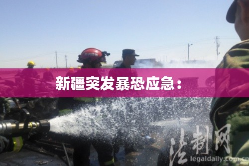 新疆突发暴恐应急： 