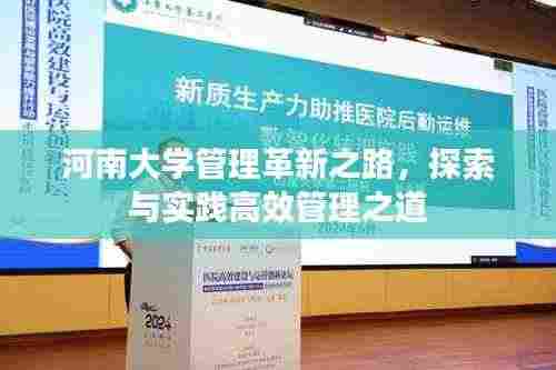 河南大学管理革新之路,探索与实践高效管理之道
