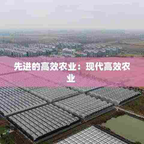 先进的高效农业:现代高效农业