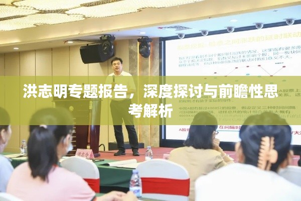 洪志明专题报告，深度探讨与前瞻性思考解析