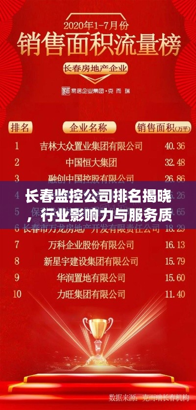 衣不重采 第3页