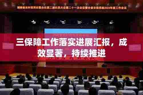 三保障工作落实进展汇报,成效显著,持续推进