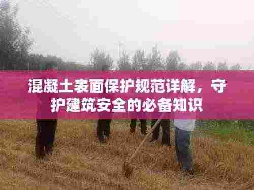 混凝土表面保护规范详解，守护建筑安全的必备知识