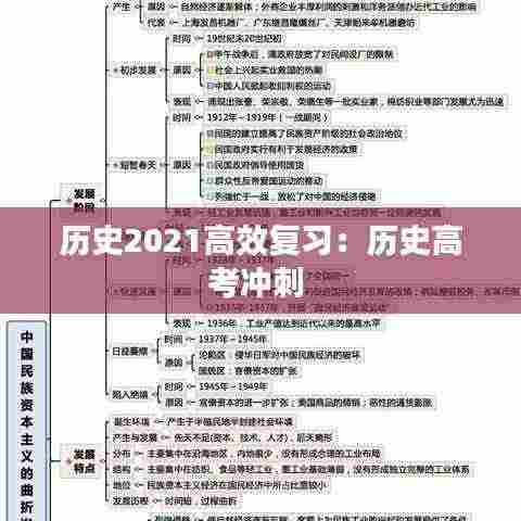 历史2021高效复习：历史高考冲刺 