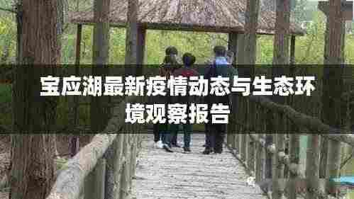 宝应湖最新疫情动态与生态环境观察报告