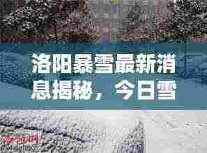 洛阳暴雪最新消息揭秘,今日雪情动态更新!