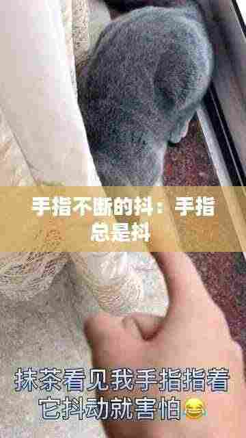 手指不断的抖:手指总是抖