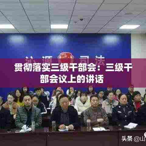 贯彻落实三级干部会:三级干部会议上的讲话