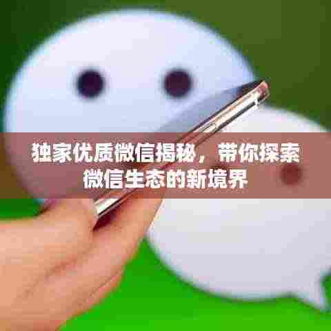 独家优质微信揭秘,带你探索微信生态的新境界