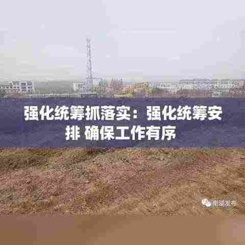 强化统筹抓落实：强化统筹安排 确保工作有序 