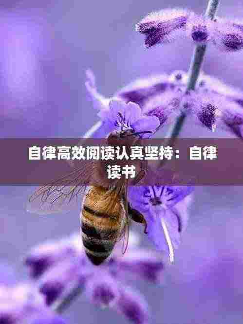 自律高效阅读认真坚持：自律 读书 