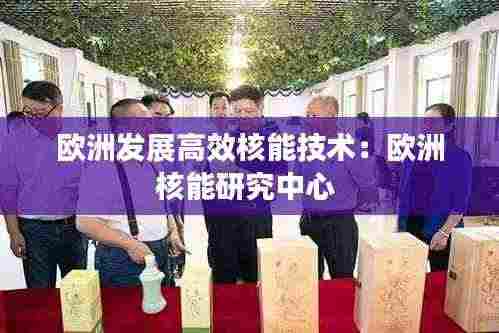 欧洲发展高效核能技术:欧洲核能研究中心