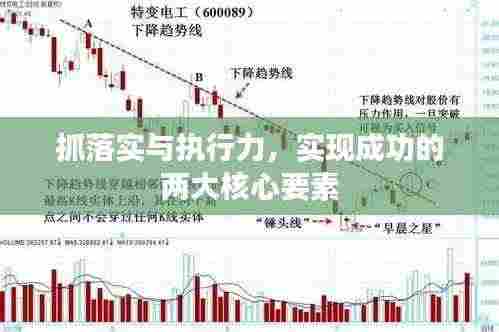 抓落实与执行力,实现成功的两大核心要素
