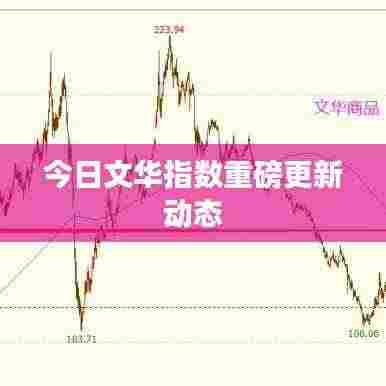 今日文华指数重磅更新动态