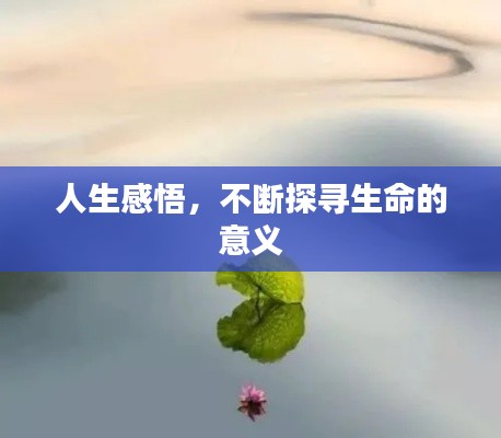 人生感悟,不断探寻生命的意义