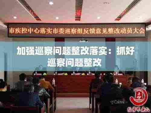 加强巡察问题整改落实:抓好巡察问题整改