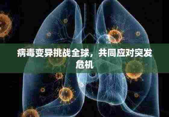 病毒变异挑战全球,共同应对突发危机