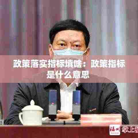 政策落实指标填啥：政策指标是什么意思 