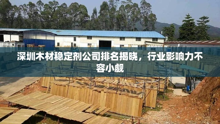 深圳木材稳定剂公司排名揭晓,行业影响力不容小觑