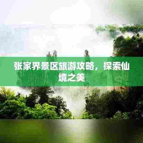 张家界景区旅游攻略，探索仙境之美