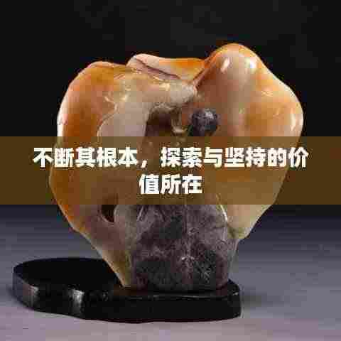 不断其根本,探索与坚持的价值所在