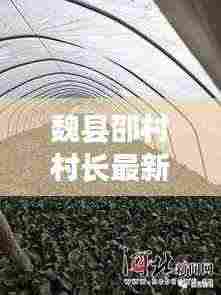 魏县邵村村长最新动态，头条新闻速递