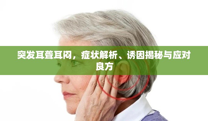 突发耳聋耳闷,症状解析、诱因揭秘与应对良方