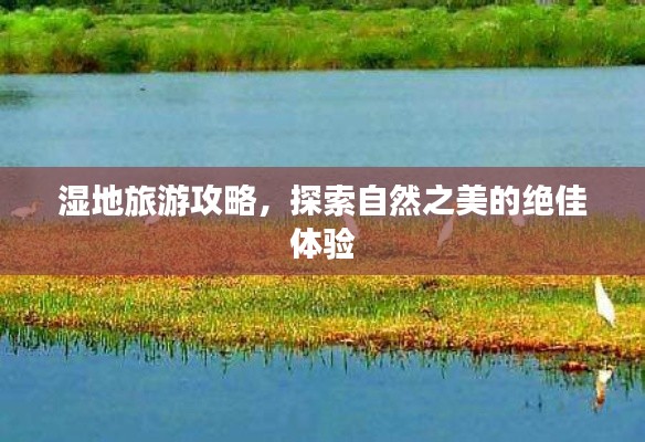 湿地旅游攻略，探索自然之美的绝佳体验