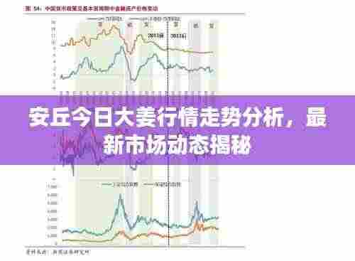 安丘今日大姜行情走势分析,最新市场动态揭秘