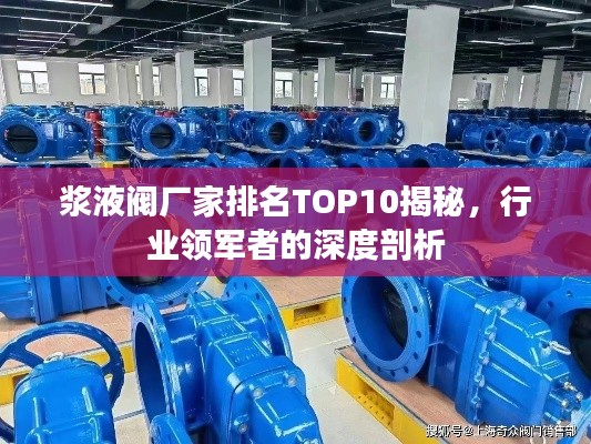 浆液阀厂家排名TOP10揭秘,行业领军者的深度剖析