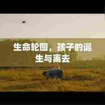 生命轮回,孩子的诞生与离去